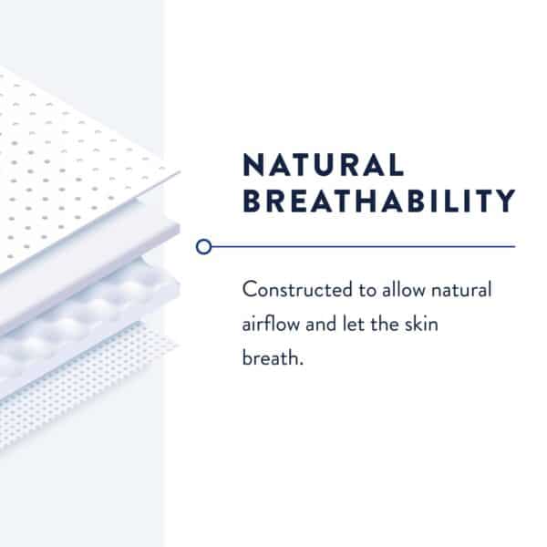 Prevail Belted Shields for Incontinence