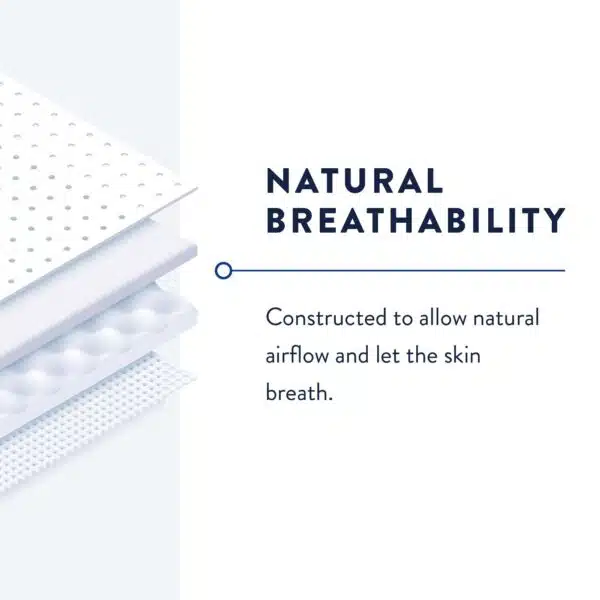 Prevail Belted Shields for Incontinence